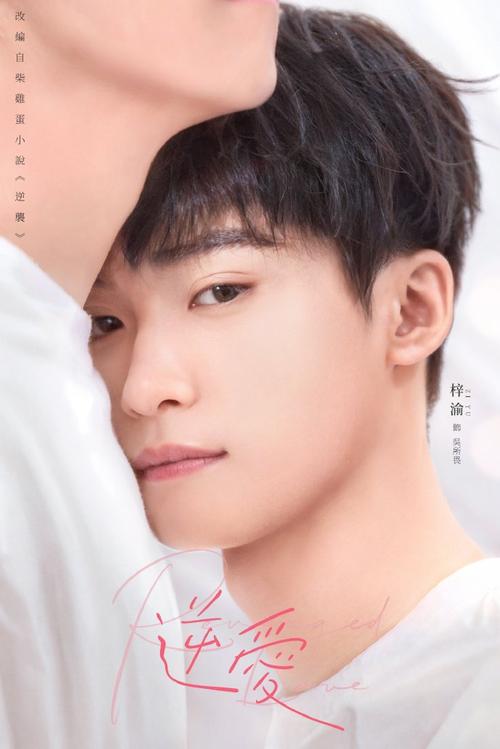 田栩宁最火的十部剧_《逆爱》田栩宁爆红引是非，演技被质疑，公司欲拍新剧提升形象