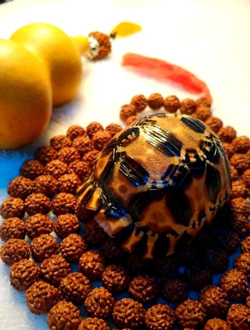 盘了10年的乌龟壳包浆_稳当显富贵越盘越美